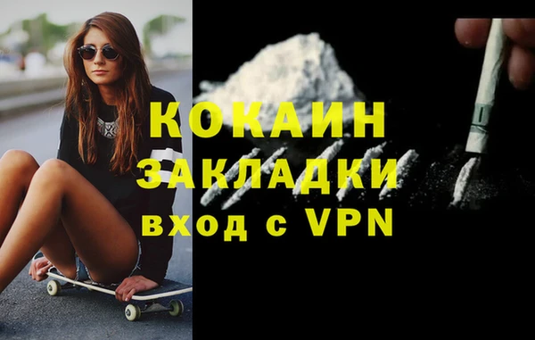 гидра Няндома