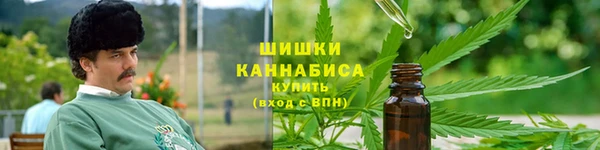 прущие грибы Алексеевка