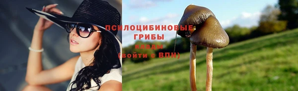 прущие грибы Алексеевка