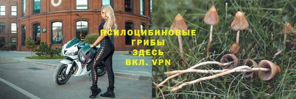 2c-b Нягань