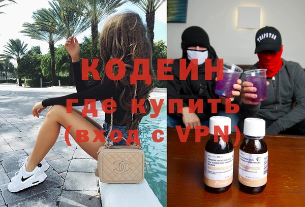 гидра Няндома