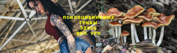 экстази Алексин