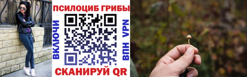 Псилоцибиновые грибы Psilocybe  blacksprut сайт  Анадырь 